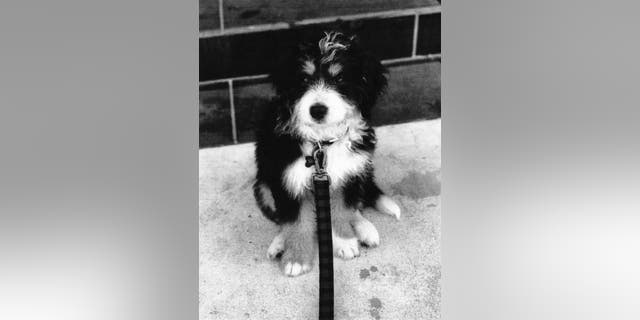 Simba was allegedly locked in the bathroom for an hour by an American Airline's flight attendant on a flight from Miami to L.A. in April.
