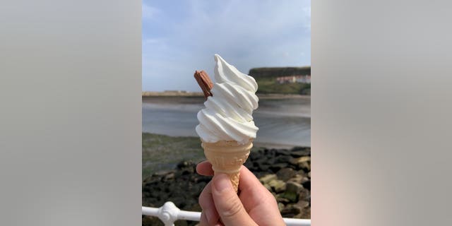 The ice cream moments before the seagull theft.