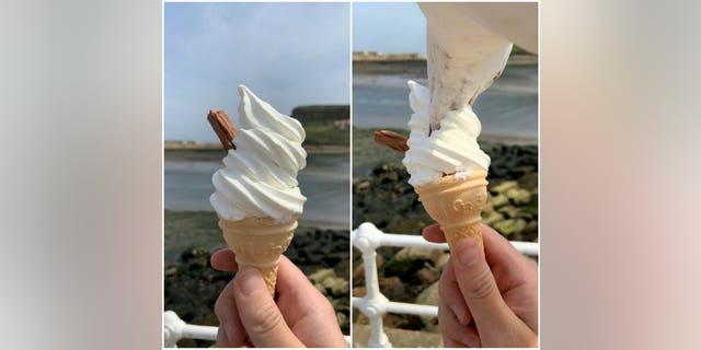 Before (left) and after the seagull makes its daring raid.