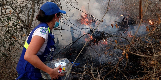On Saturday, several helicopters along with police, military troops, firefighters and volunteers on the ground worked to extinguish fires in Bolivia's Chiquitania region, where the woods are dry at this time of year. Farmers commonly set fires in this season to clear land for crops or livestock, but sometimes the blazes get out of control.