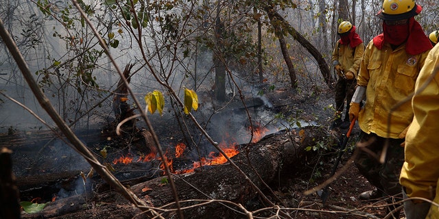 Soldiers work to put out a forest fire in the Chiquitania Forest of Quitunuquina near the Robore, Bolivia, Monday, Aug. 26, 2019.