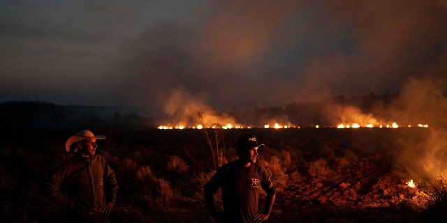 Leaders of the G7 have pledged to help Brazil fire the surge of wildfires sweeping across the Amazon. (AP Photo/Leo Correa)