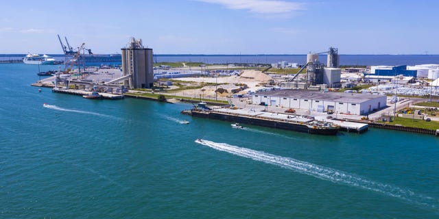 Joseph McKinney, from Texas, was reportedly taken into custody after departing a cruise ship which had recently returned to Port Canaveral on Sunday morning.