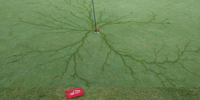 Aftermatch of a lightning strike at the 7th hole at Eagle Creek Golf Club in Moyock, N.C.