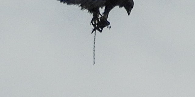 An up-close photo of the apparent trap. (SWNS)