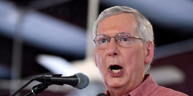Senate Majority Leader Mitch McConnell, R-Ky., addresses the audience gathered at the Fancy Farm Picnic in Fancy Farm, Ky., over the weekend. (AP Photo/Timothy D. Easley)