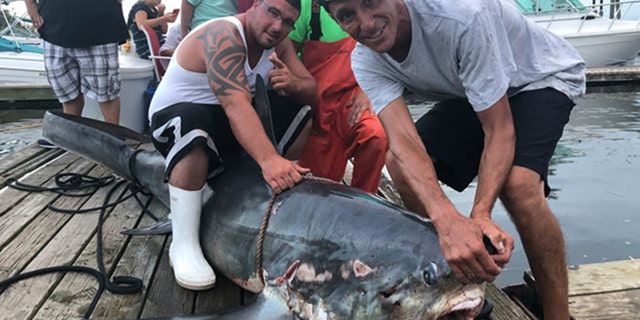 “It took three grown men taking turns to fight that shark. It's literally man versus beast," Joseph Egitto, who owned the boat, told Patch.