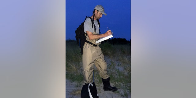 --PLEASE HOLD-- This Tuesday, July 16, 2019, photo shows Jason Davis, a biologist with the Delaware Department of Natural Resources and Environmental Control, taking notes on the conditions at a state park near Bethany Beach, Del., before surveying the area in search of the Bethany Beach Firefly, which some environmentalists want added to the federal Endangered Species List. (AP Photo/Randall Chase)