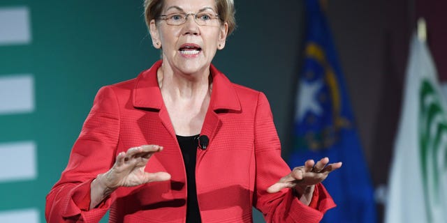 Democratic presidential candidate and U.S. Sen. Elizabeth Warren (D-MA) speaks during the 2020 Public Service Forum hosted by the American Federation of State, County and Municipal Employees (AFSCME) at UNLV on August 3, 2019 in Las Vegas, Nevada. (Photo by Ethan Miller/Getty Images)