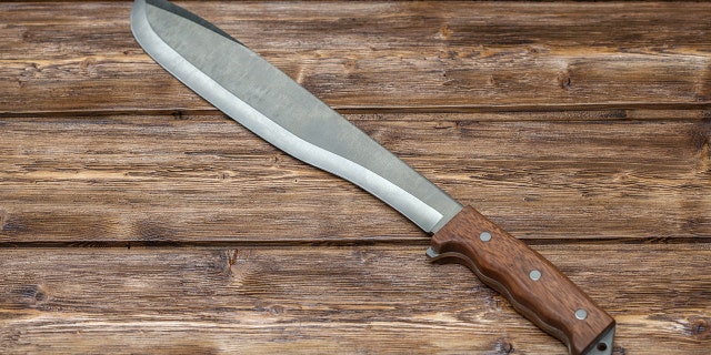 File image of a machete. Police said the suspect also had a loaded shotgun.