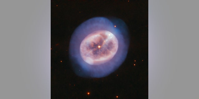Although it looks more like an entity seen under a microscope than a telescope, this rounded object, named NGC 2022, is certainly not an alga or a tiny blobby jellyfish. Instead, it is a vast globe of gas in space, rejected by an aging star. (Credit: ESA / Hubble & NASA, R. Wade)