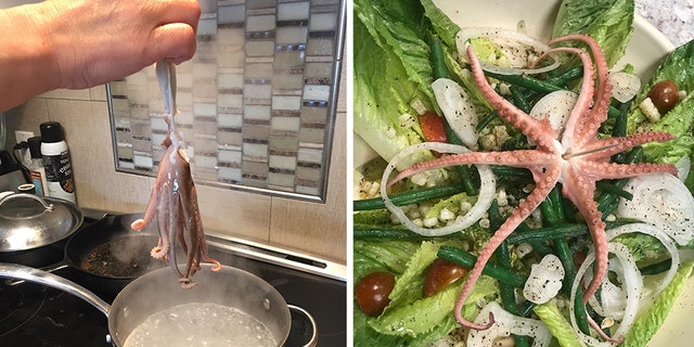 Jamie Bisceglia said she cooked the octopus that bit her for dinner. “I got a little revenge,” she told Fox News.