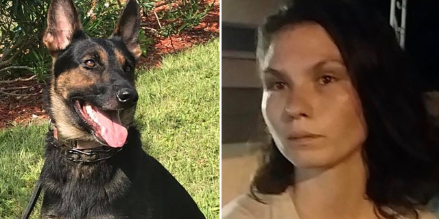 K-9 Kyra sniffed out Fascaldo, who immediately surrendered, police said.