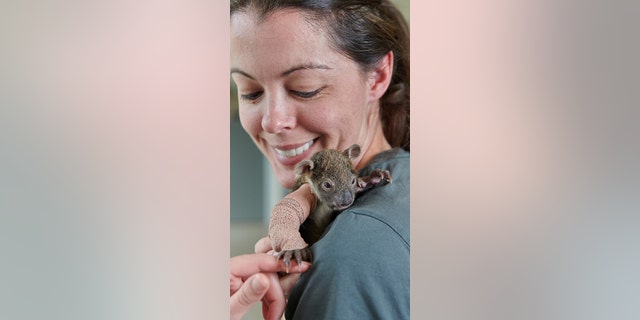 Credit: Werribee Open Range Zoo