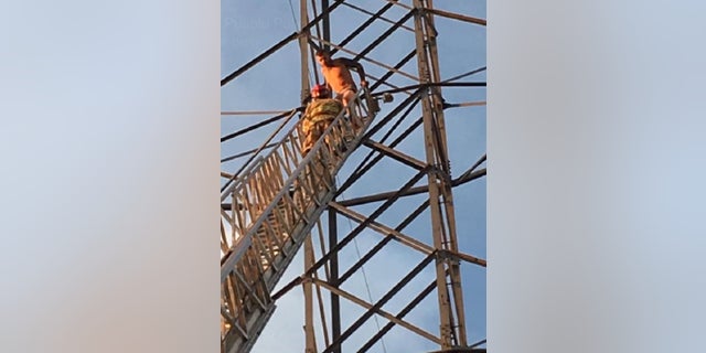 Naked Man Coaxed Down From Atop 150 Foot Colorado Power Line Tower