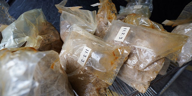 Nearly 1,700 pounds of MDMA was seized in Australia as part of one of the largest drug busts in the region's history.