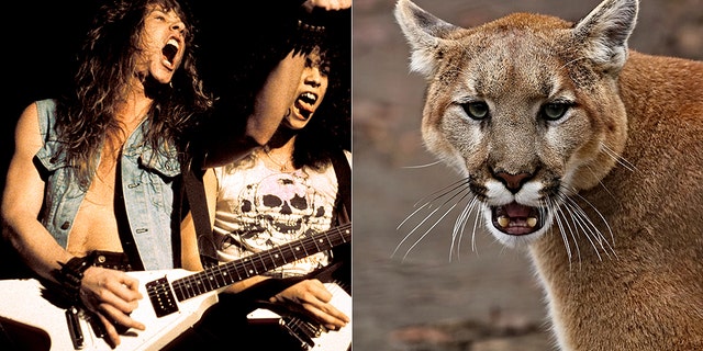 Dee Gallant, 45, thanked the legendary heavy metal band Metallica for saving her life after she used their song "Don't Tread on Me" to scare off a cougar on a logging road in Canada on July 23.<br data-cke-eol="1">