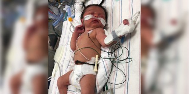 Police in Montgomery County, Md., reported the discovery Friday of a newborn who was abandoned in a wooded area only hours after being born.