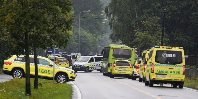 Police and emergency services attend the scene after a shooting inside the al-Noor Islamic center mosque in Baerum outside Oslo, Norway, Saturday Aug. 10, 2019.