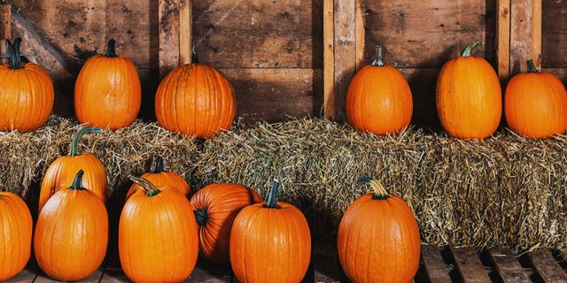 If you’re looking to shed a few pounds with a healthier diet, pumpkins could become your secret weapon.