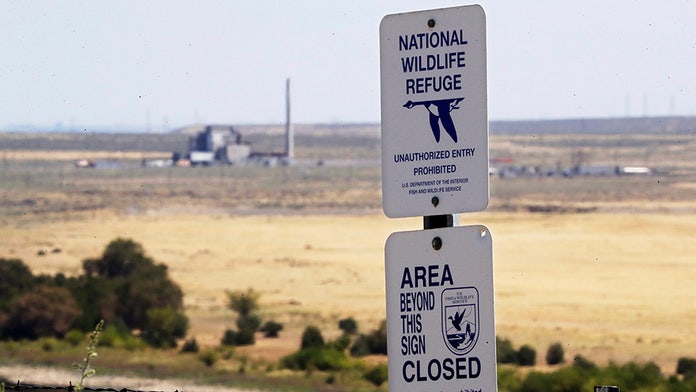Sites of major US weapons tests now see wildlife flourishing