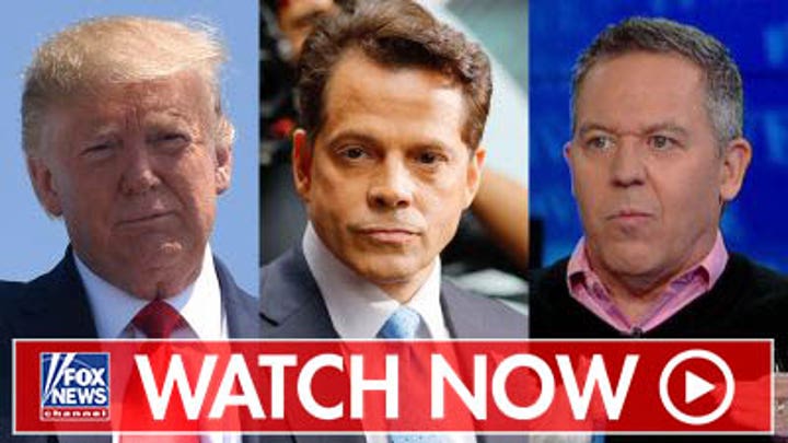Gutfeld reacts to Scaramucci-Trump feud