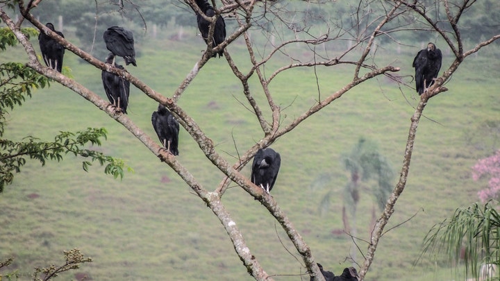 Fox News Flash top headlines for December 8