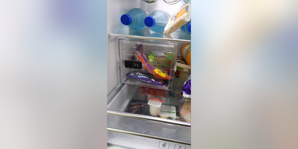 Pregnant Woman Backed for Locking Fridge To Keep Husband Out: 'For Me