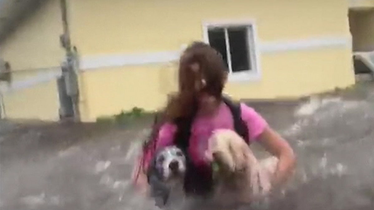 Dramatic video shows Priscilla Aylen's granddaughter, Julia, wading through intense floodwaters with the family's dogs trying to get to safety.