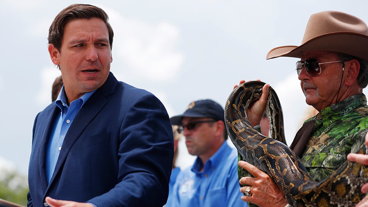 Florida Gov. Ron DeSantis, left, announced last month a significant increase in resources to combat the invasive species. (AP Photo/Wilfredo Lee)