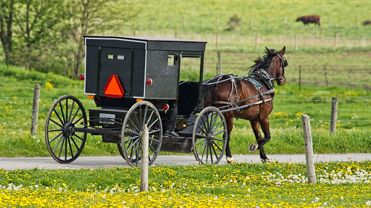 Amish buggies have orange safety triangles on their rear to indicate to other drivers they are slow-moving vehicles.