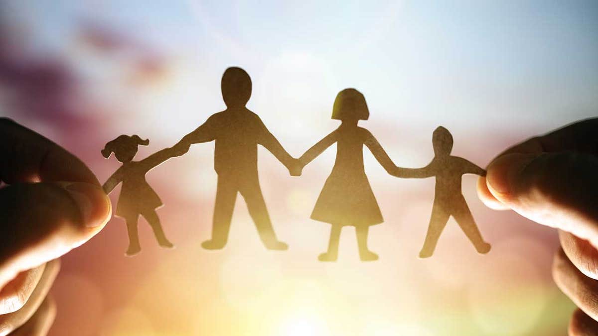The National Parents Organization aims to "promote children’s well-being by making equal shared parenting the norm when parents are living apart.”