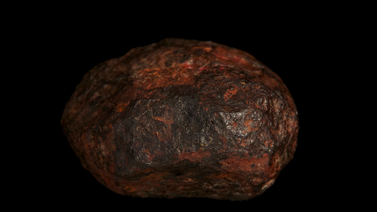 Picture of the Wedderburn meteorite. (Credit: Rodney Start, Museums Victoria) 