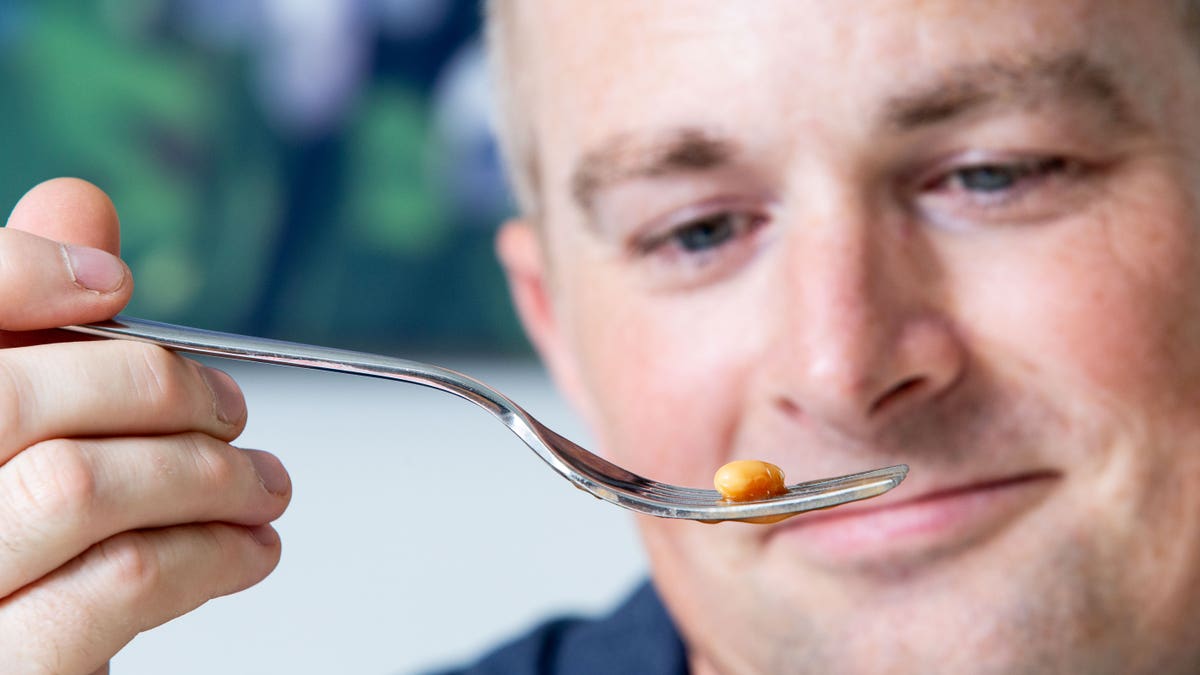 "I got back late from a meeting and wanted some food. I poured out the tin and I found one bean,” Smith recalled.
