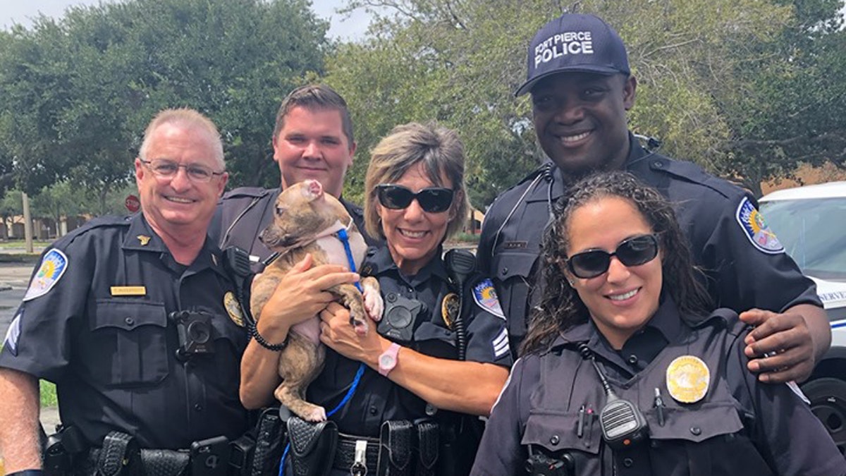 Police said that inlight of the circumstances - and with a little “nudging” from other officers - Jean settled on a name for his newest family member: Dory, short for Dorian. 
