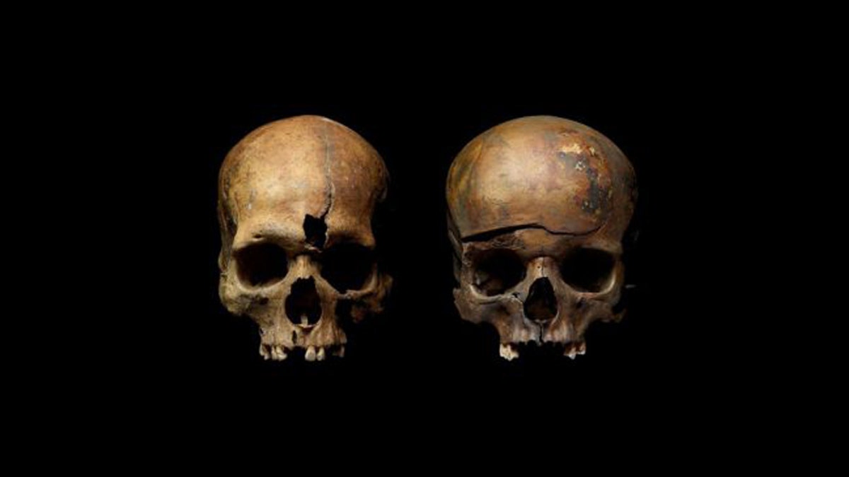 Skulls from a mass grave in Yaroslavl, Russia, show traces of violence. (Credit: Institute of Archaeology, Russian Academy of Sciences)