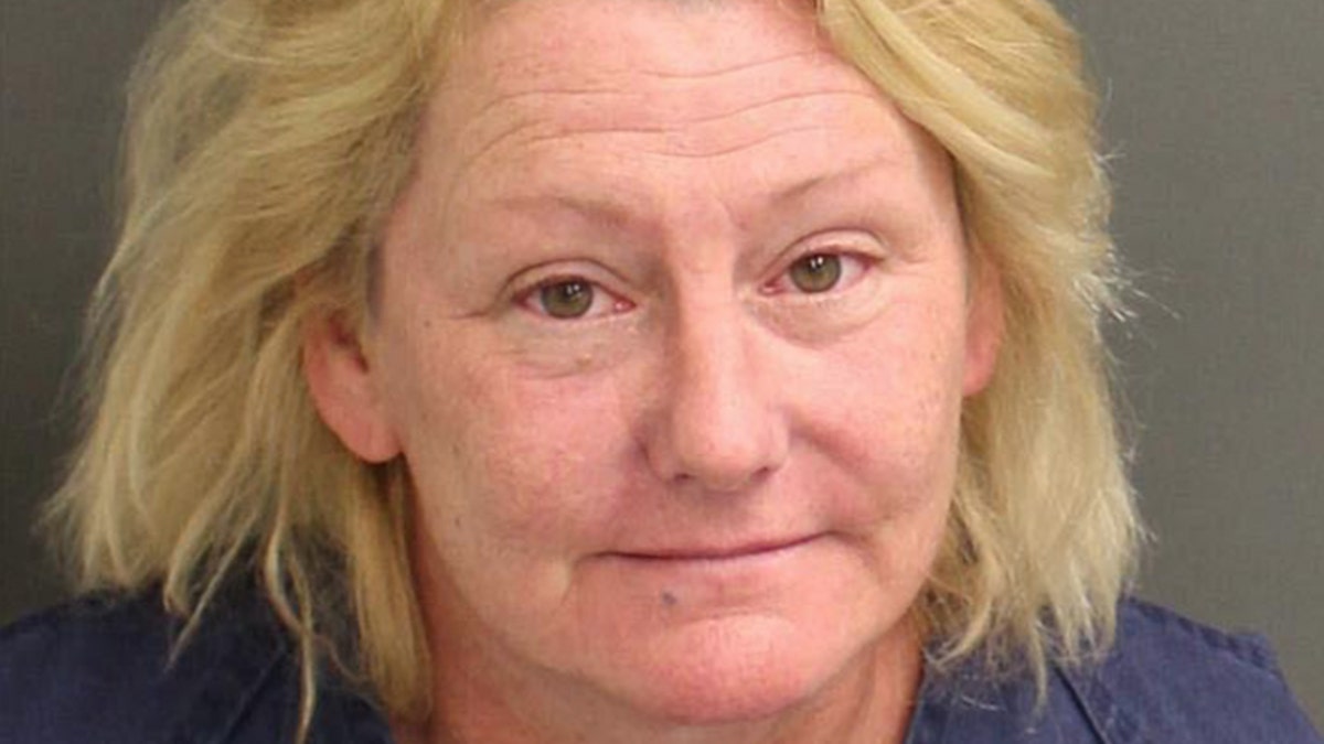 According to reports, 53-year-old Ellen McMillion of Brandon, Fla. was arrested and charged with third-degree felony battery and misdemeanor disorderly intoxication after she tried to slap a taxi driver and kicked a deputy sheriff at the park.