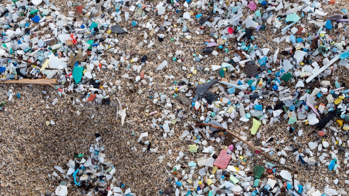 Researchers believe more than 4 billion bits of microplastic are in Tampa Bay, Florida. Above: A detail of microplastics along Italy's Schiavonea beach, transported by the Ionian sea during the last sea storm.