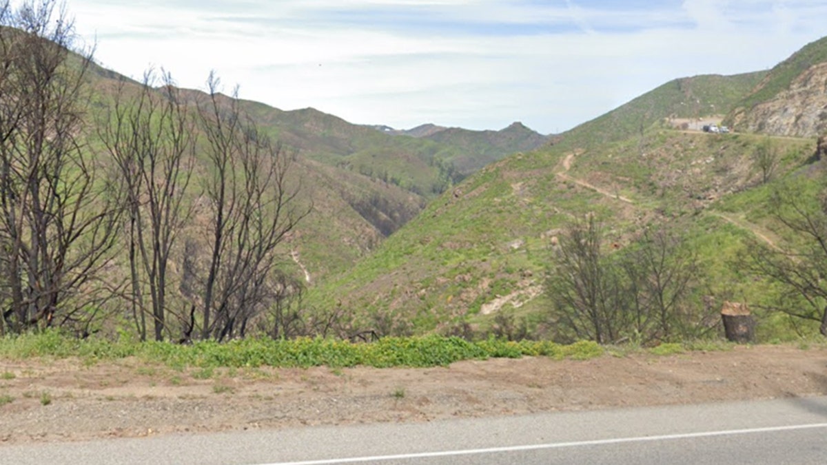 Rescue crews found the group of hikers south of the Backbone trailhead in the Malibu Hills, according to the Los Angeles Times. (Google Maps)