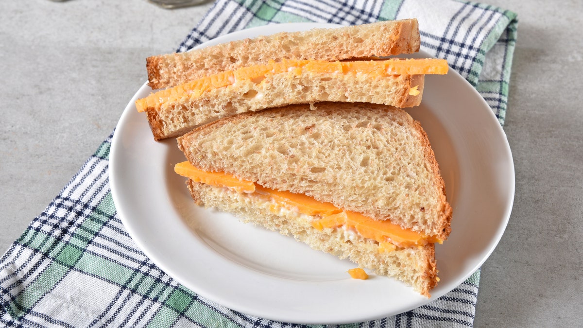 cheese sandwich