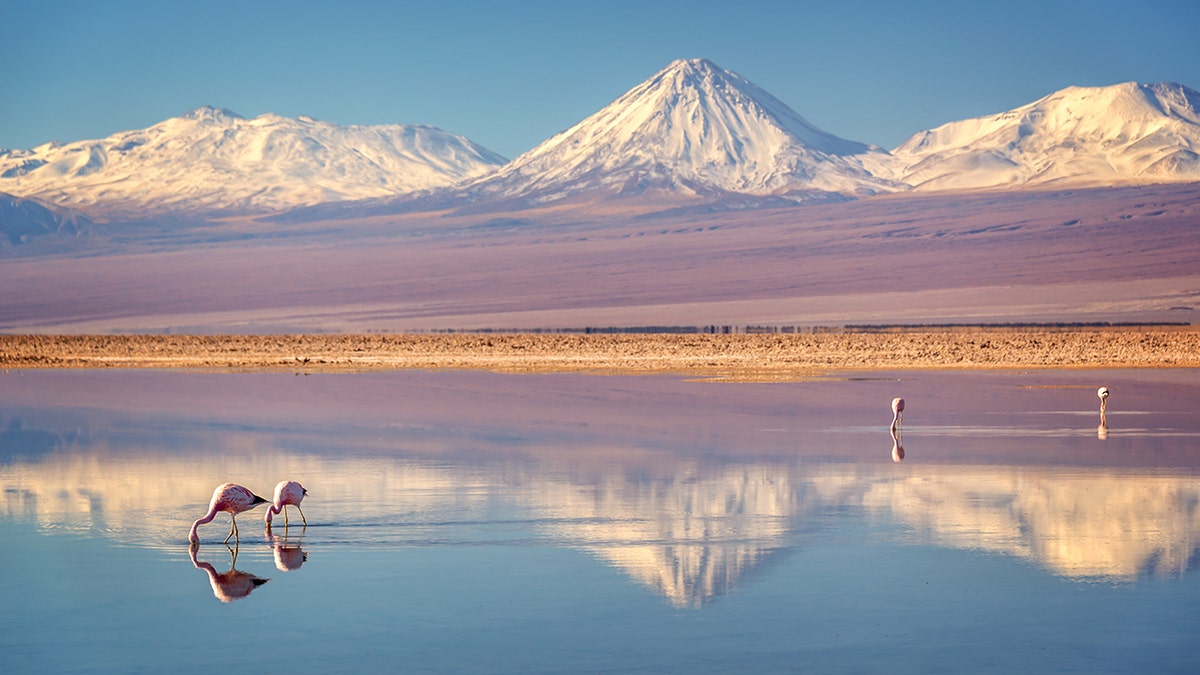 The arid nature of the Atacama Desert in Chile has made it a prime spot for UFO hunters.