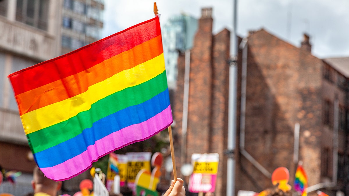 Pride rainbow flags at parade