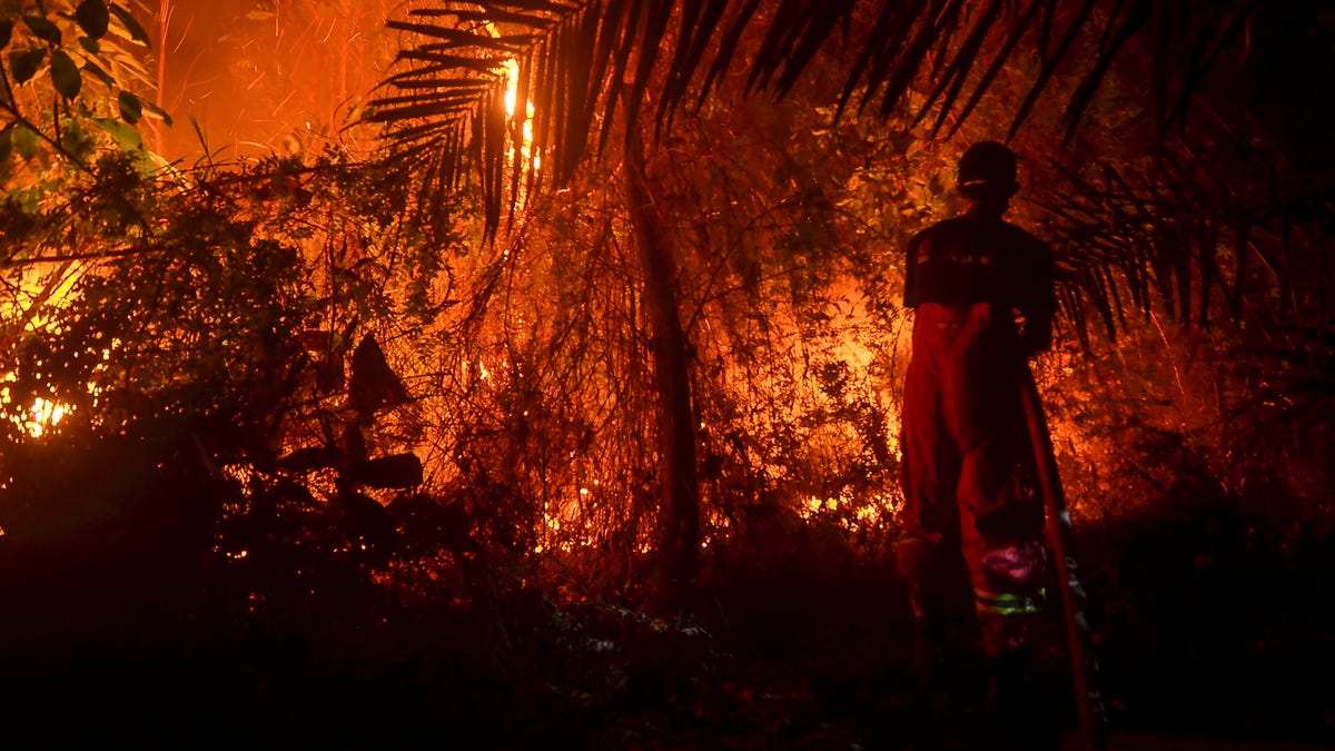 Medfølelse web købe Indonesia fires turn sky an eerie blood red | Fox News