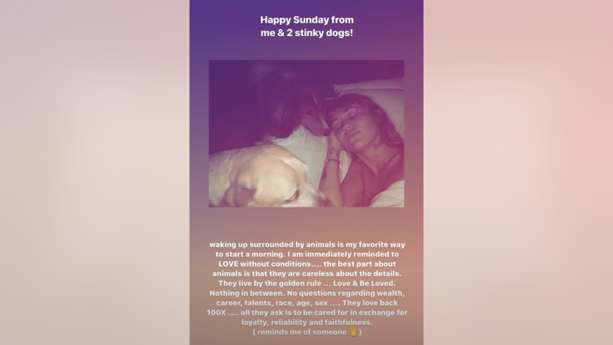 Miley Cyrus, 26, detailed the difference between dogs and humans in an Instagram Story on Sunday morning.