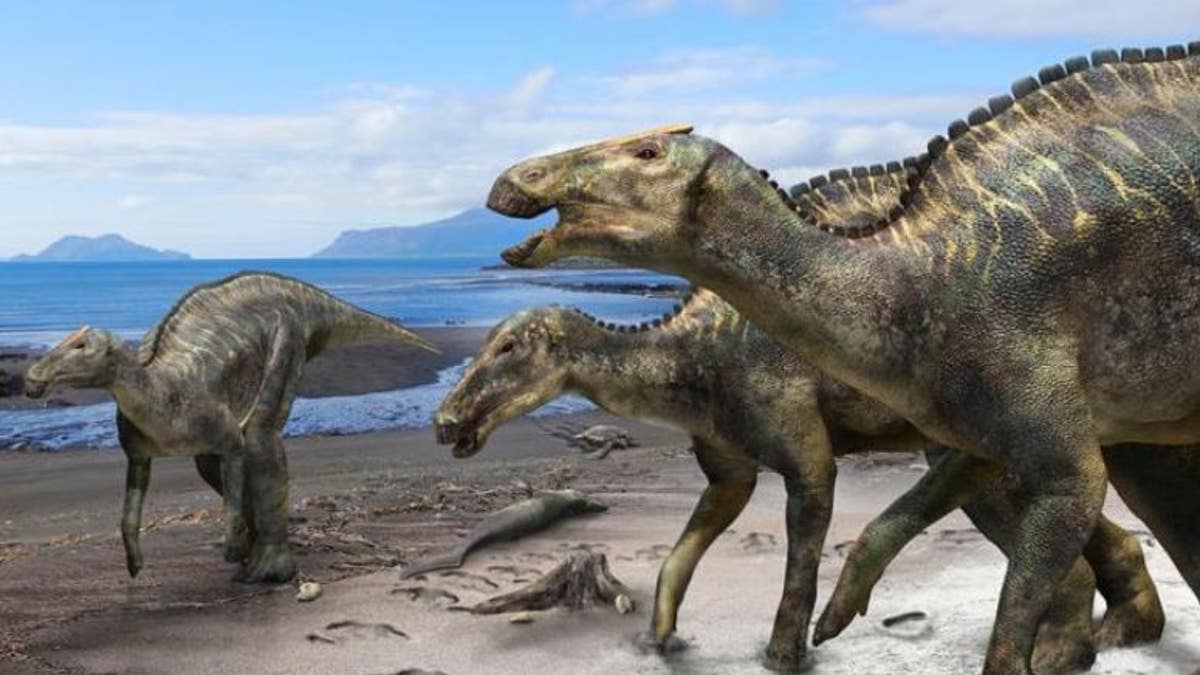 This is a reconstruction of Kauysaurus japonicus. (Kobayashi Y., et al, Scientific Reports, September 5, 2019)