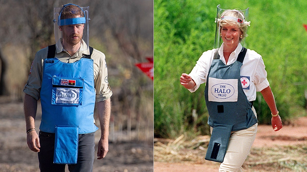 Prince Harry shadowed his late mother Princess Diana of Wales' footsteps during his royal tour of southern African.