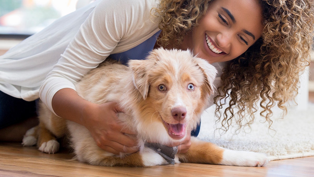 Practicing handling and gentling exercises will prepare your puppy for encounters with the vet and the groomer. (iStock)