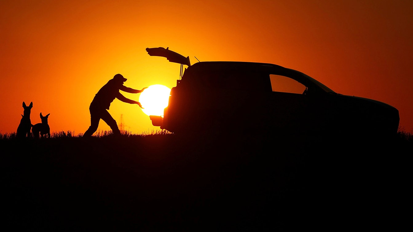 sun1.jpg
