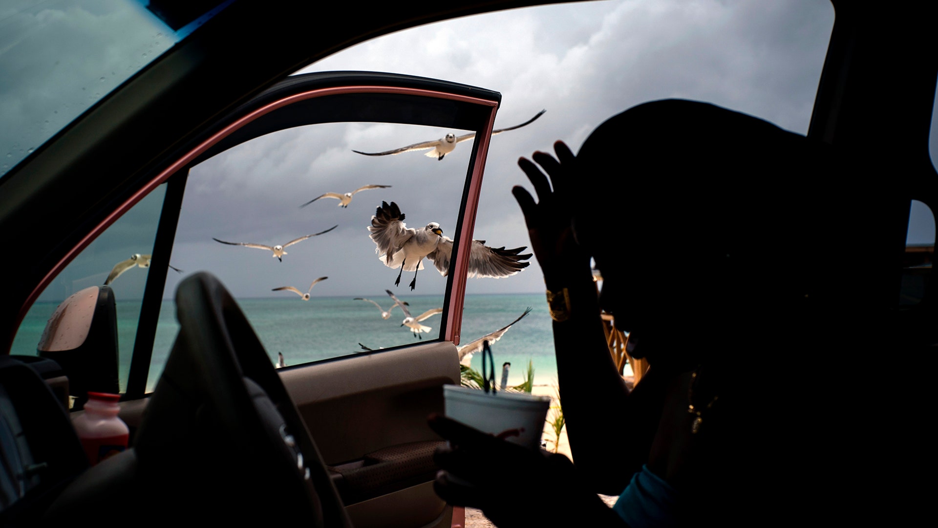 Seagulls fly toward a woman feeding them french fries from her car on Taino beach before the arrival of Hurricane Dorian in Freeport, Grand Bahama, Bahamas, Sept. 1, 2019. 