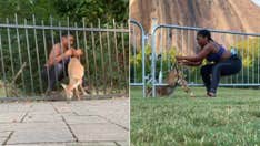 Jogger rescues deer from fence twice: 'Your a-- better not get stuck again!'